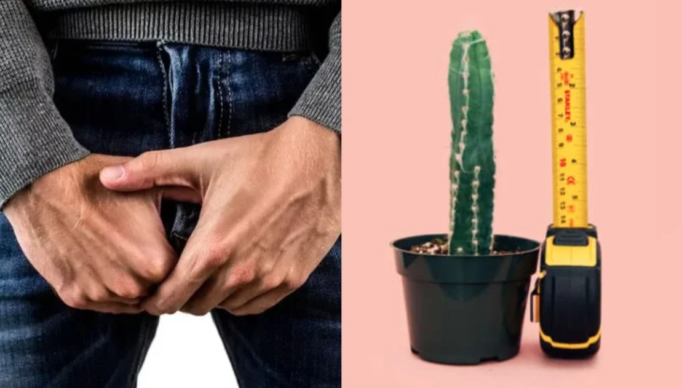 Screenshot 2024-01-24 at 22-13-57 Brasil na lista saiba quais os países com os maiores pênis do mundo Curiosidades EM OFF