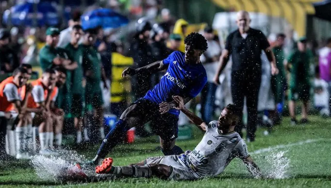 53545745094_511e573862_c