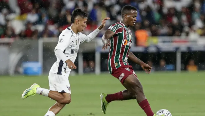 53547649135_d254fc0085_o