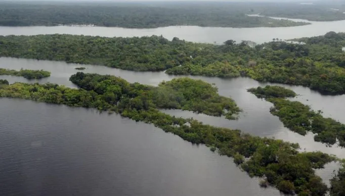 Fundo Amazônia recebeu R$ 726 milhões em 2023 e deve