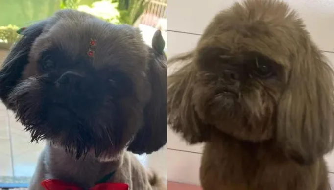 WhatsApp Image 2024-02-19 at 16.56.03