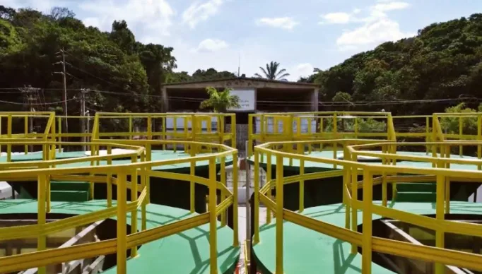 ete-de-guaramiranga-768x513