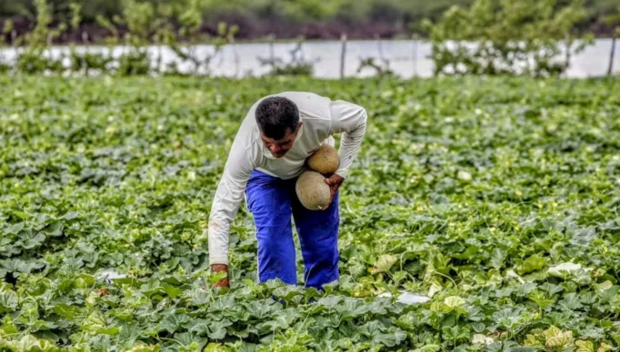 00531ce7-19bb-4940-9448-3a36c7caaa96