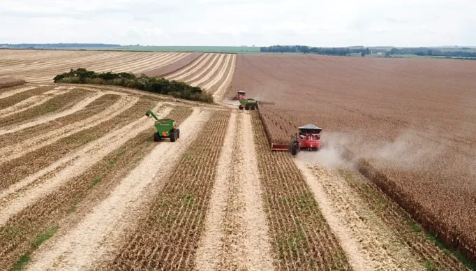 Agro-Plantio-Commodity-Milho-COOPADF-PADDF-Agricultura-34-1024x576-1-1021x576