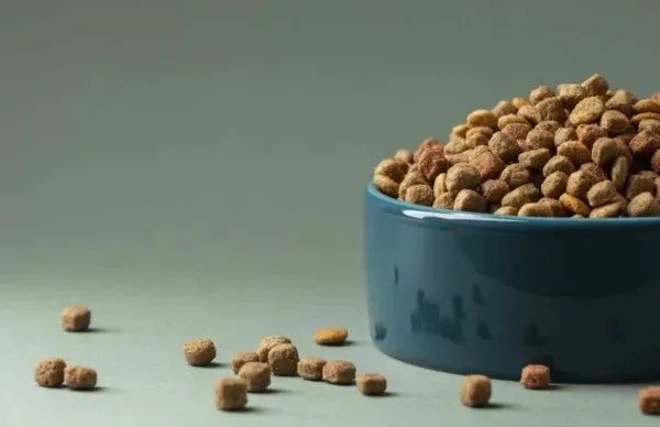 Racao-de-cachorro-5-600x400