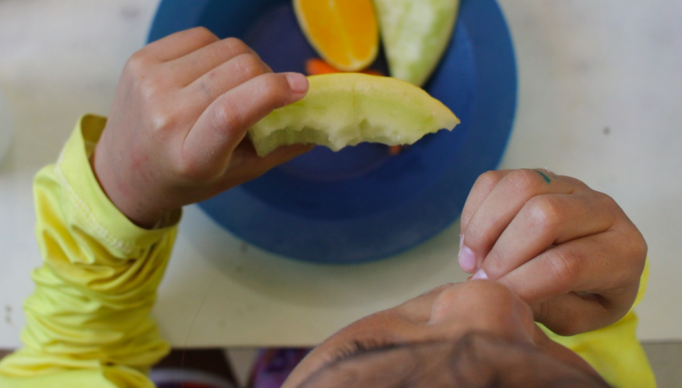 Screenshot 2024-03-12 at 19-12-41 12 municípios do Estado já aderiram ao ao Sisan em 2024