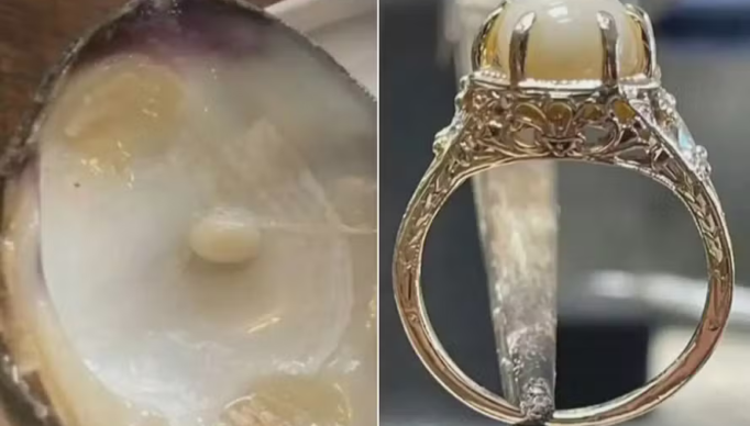 Screenshot 2024-03-25 at 18-27-17 Namorados acham pérola em ostra durante jantar em restaurante fazem anel e decidem se casar