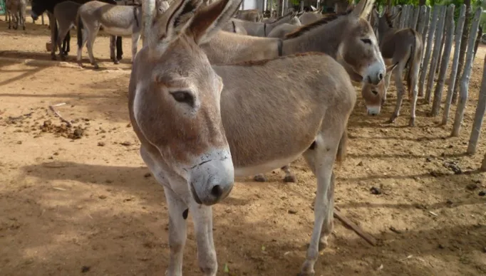 f5dfc50293436e4ab1f2268a8e54d6af