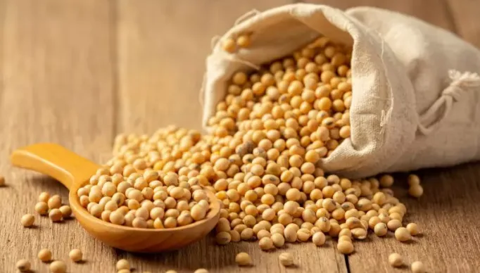 soybean-sauce-soybean-wooden-floor-soy-sauce-food-nutrition-concept-800x533