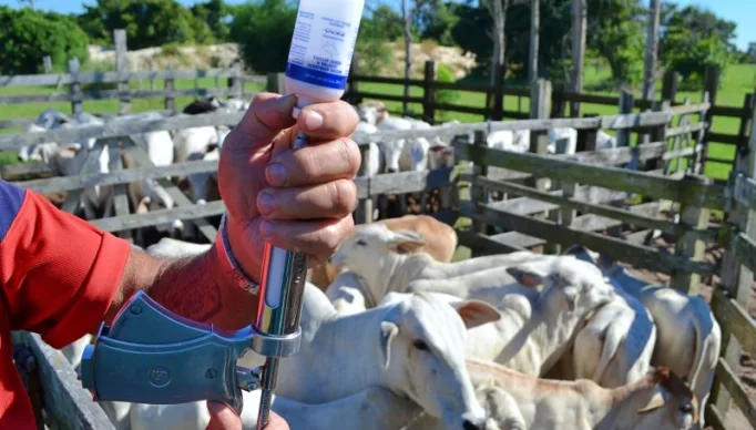 14520_fb2bd17113792f96046f2d3286c4c231