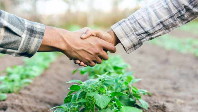 53b123ab-1ee0-4d91-847f-e80bd365d212