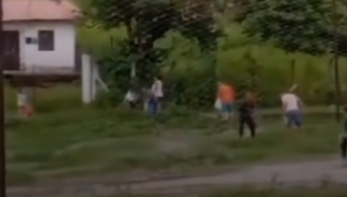 Screenshot 2024-04-13 at 08-47-53 Tilápias invadem campo de futebol após inundação