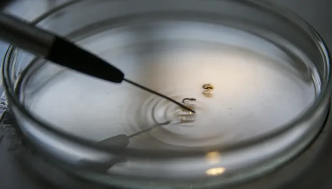 combate-dengue_mcamgo_abr_29022024-27