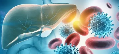 shutterstock_2088133285-480x220-1