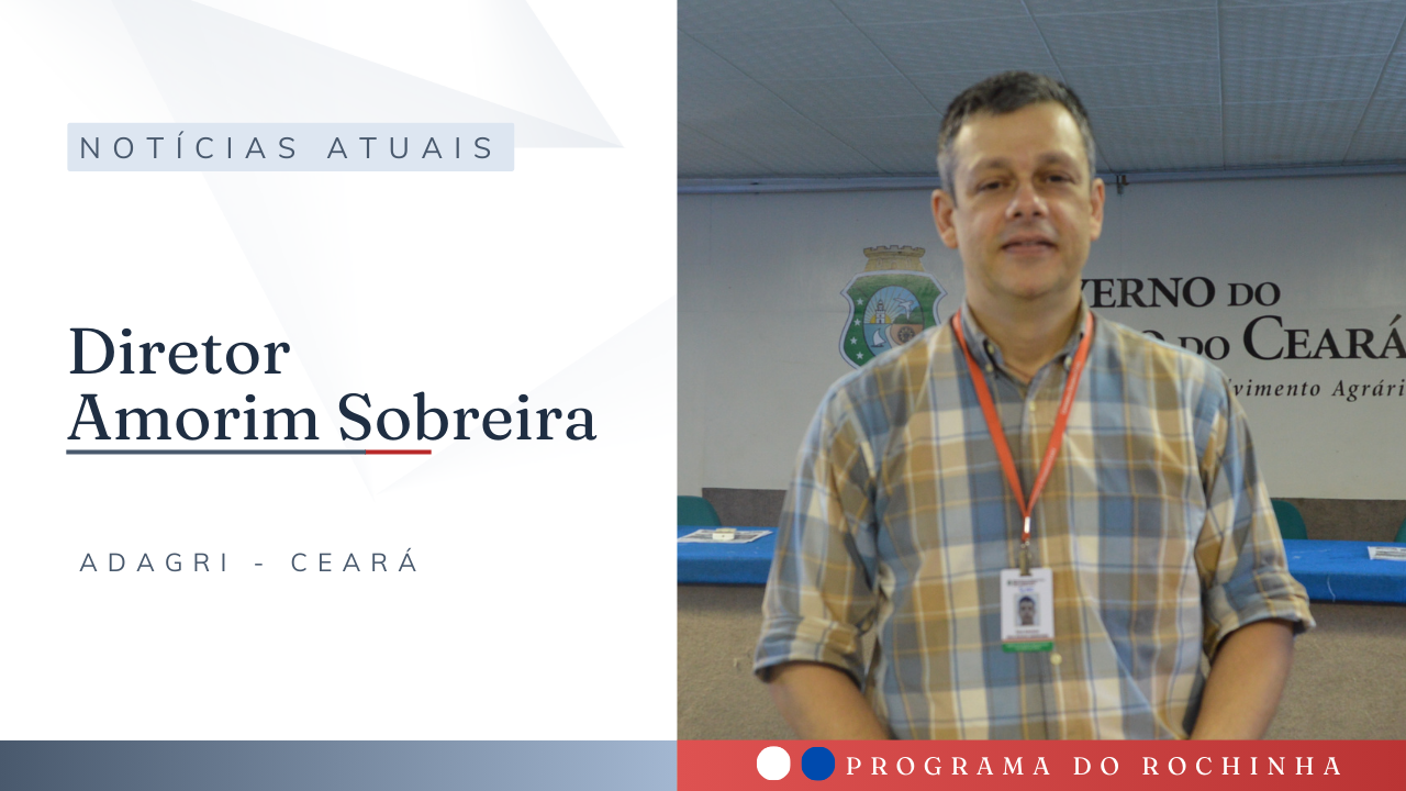 AMORIM SOBREIRA CAPA