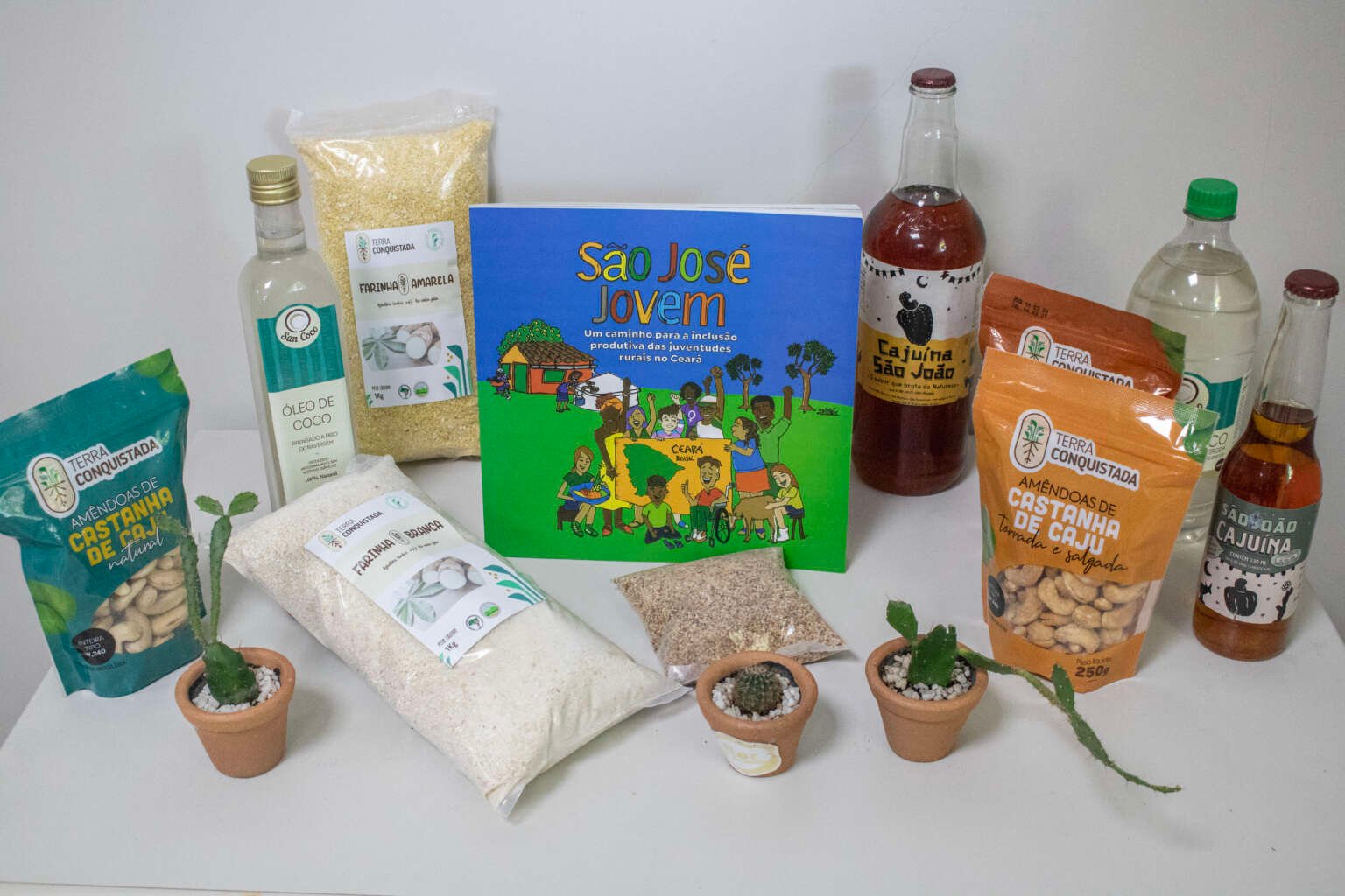 SDA-realiza-feira-de-produtos-organicos-e-lanca-livro-sobre-juventudes-rurais2-1536x1024-1