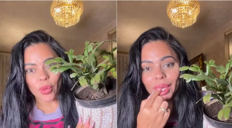 Screenshot 2024-05-05 at 16-14-57 Cantora colombiana revela compulsão por comer terra