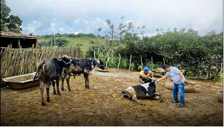 Screenshot 2024-05-14 at 19-23-32 Facebook