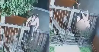 untitled-design-(3)-ubu928mz614m