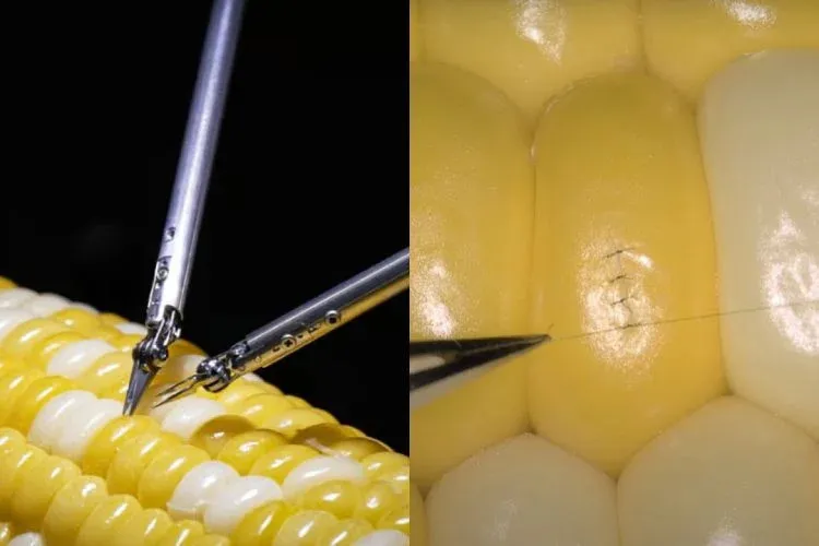 9cdf037ce4a4056e7967ece0c35b80ce