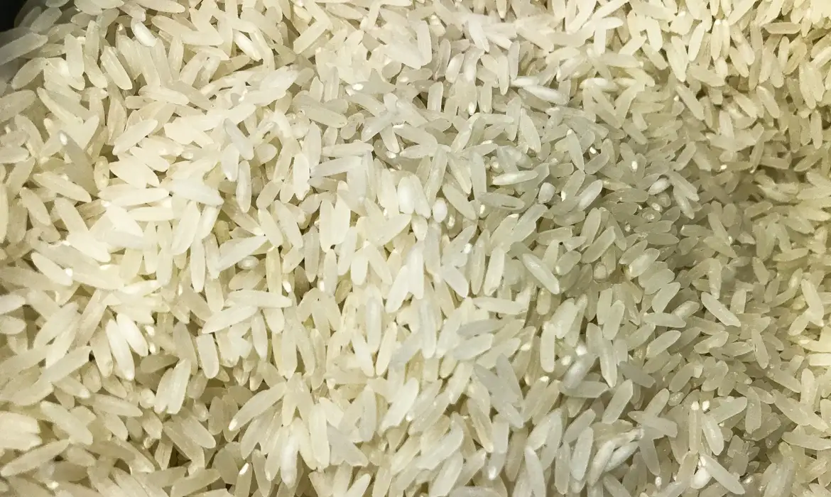 arroz_1009201525a