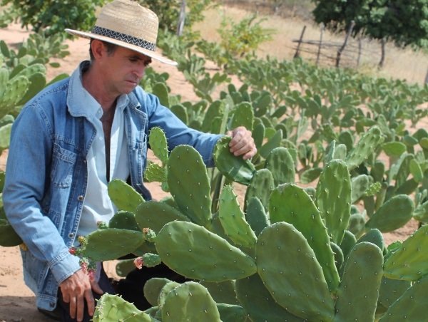 governo-anuncia-r23-mi-para-forrageiras-reserva-alimentar-pecuaristas