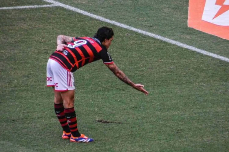1_pedro_flamengo_x_atletico_go_brasileirao_maracana__02_easy_resize_com__610x400-29284019