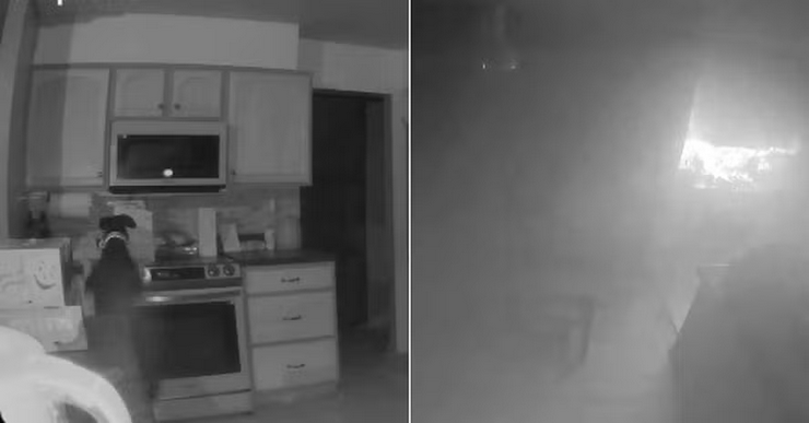 Screenshot 2024-07-04 at 18-54-49 Cão curioso liga fogão e acaba provocando incêndio em residência nos EUA