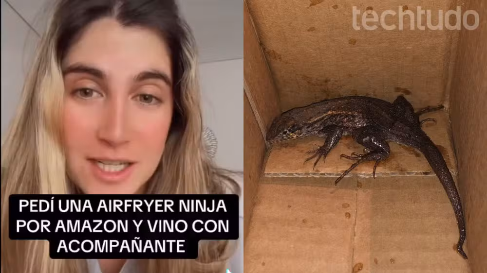 animal-airfryer-amazon