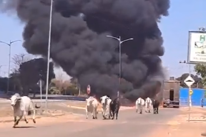 e28d338d8efd6182e26d51a48899c873