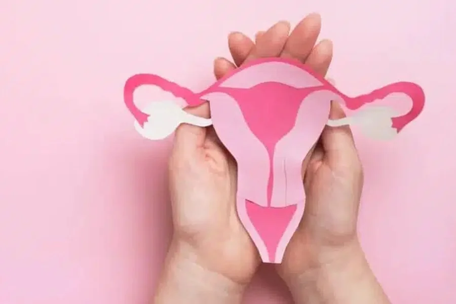 sintomas-da-menopausa-970x472.jpg-1