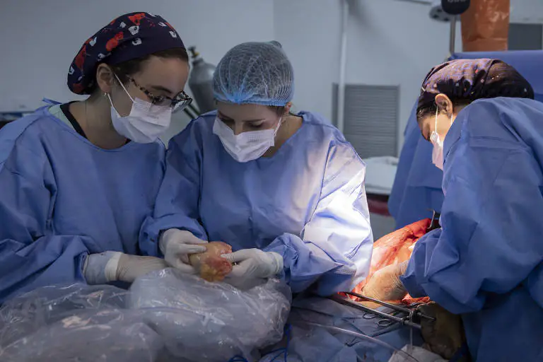 170292332265808c3aed956_1702923322_3x2_md-YwzJRK