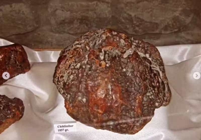 Design-sem-nome-2024-09-08T114602.636