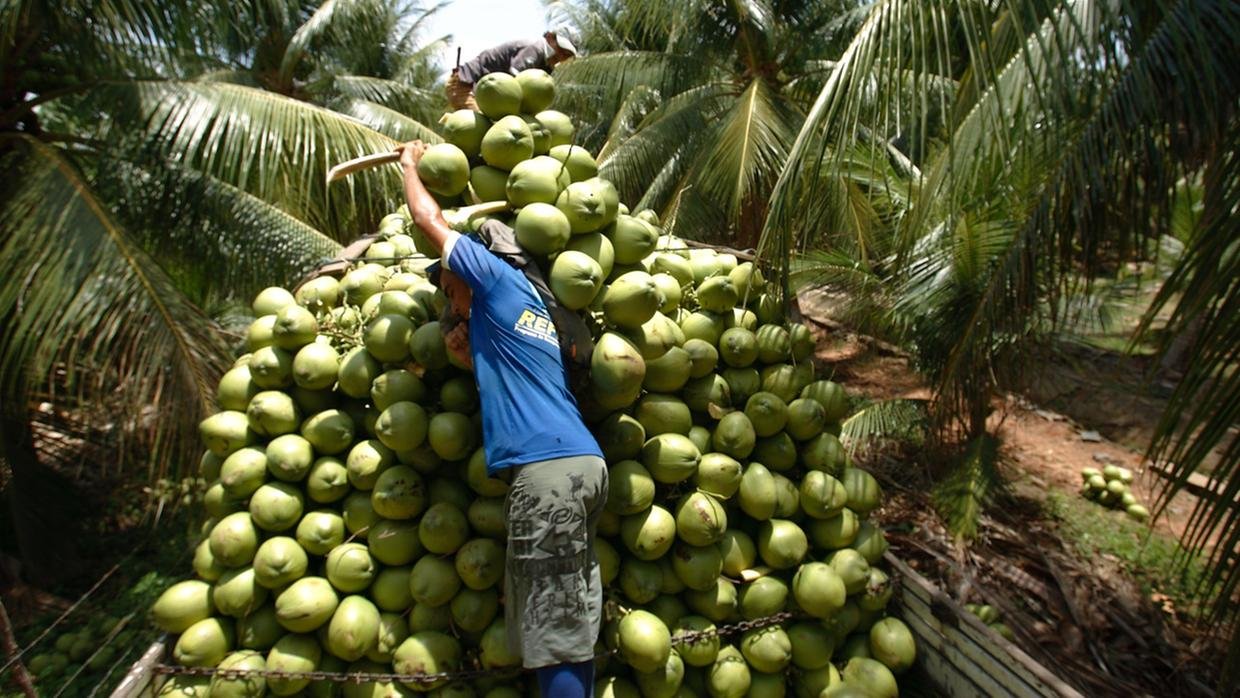 Coco__Easy-Resize.com