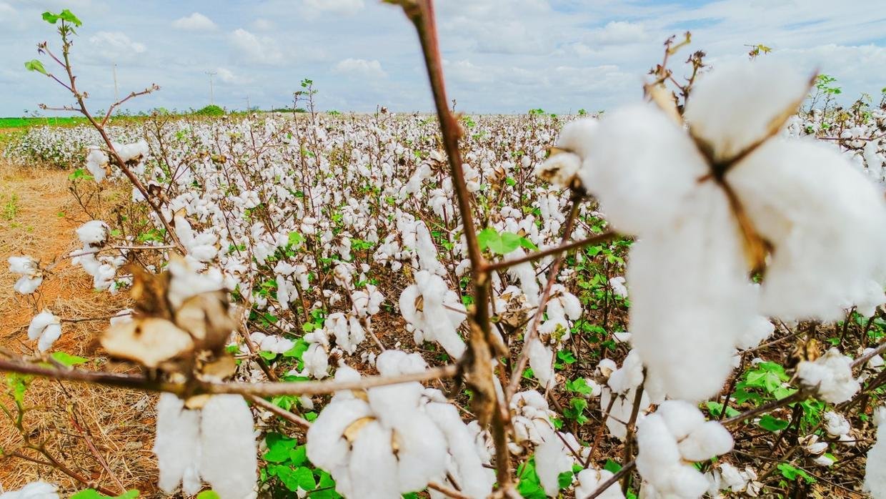 WhatsApp Image 2024-10-23 at 21.32.28 (1)