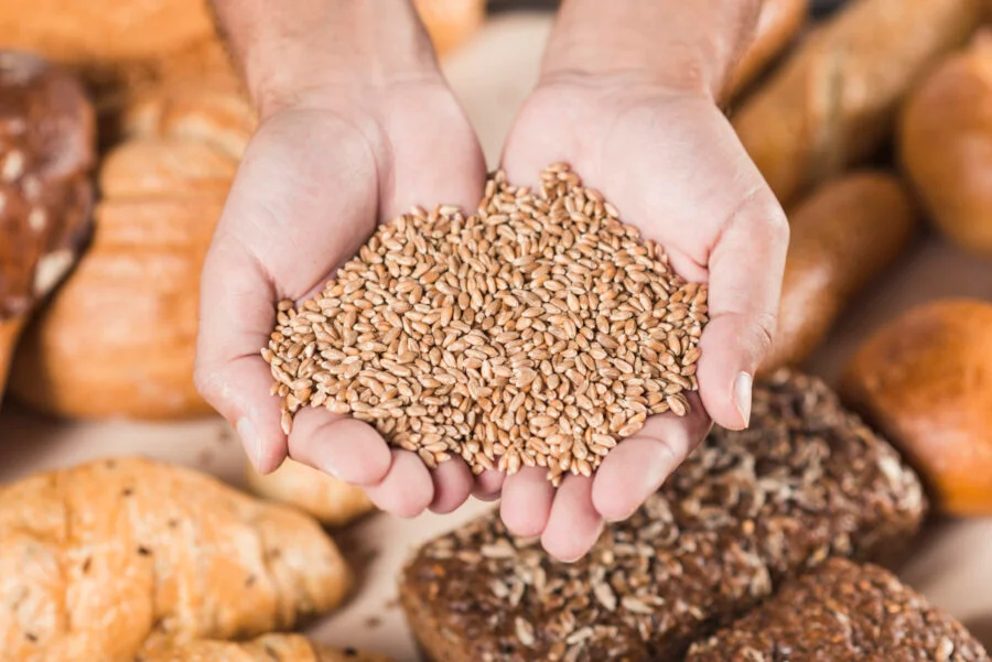 handful-wheat-grains-baked-fresh-bread-scaled-e1731766660414