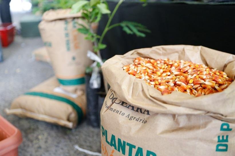 Hora-de-Plantar