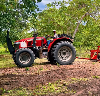chorozinho agricultura