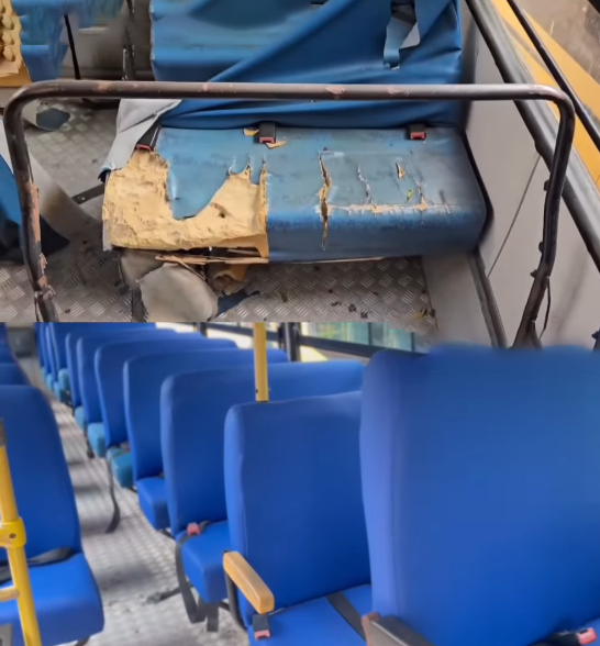 ocara onibus escolar